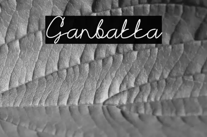 Ganbatta Font examples