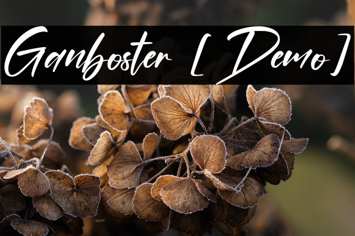 Ganboster [Demo] Example 2