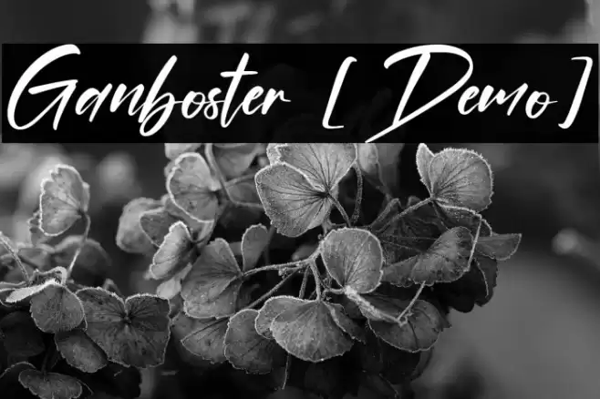 Ganboster [Demo] Polices examples