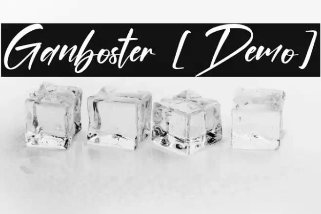 Ganboster [Demo] Polices examples