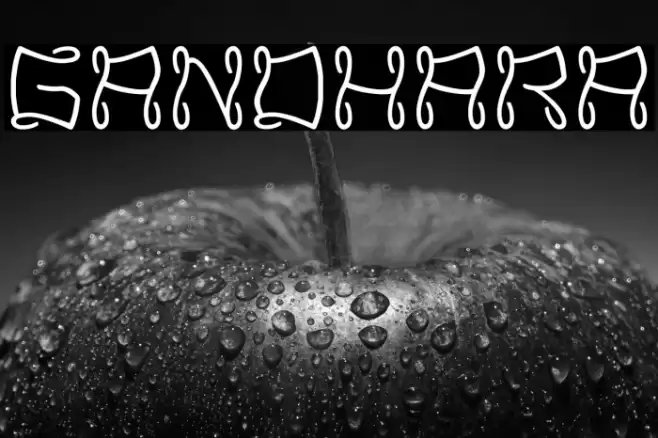 Gandhara Font examples