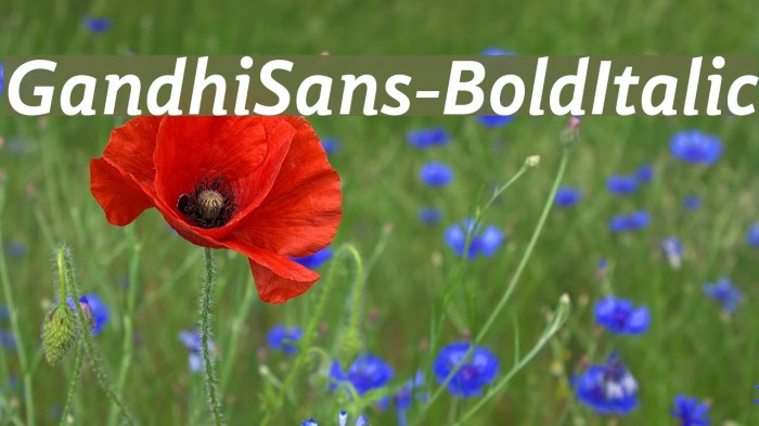GandhiSans-BoldItalic Font examples