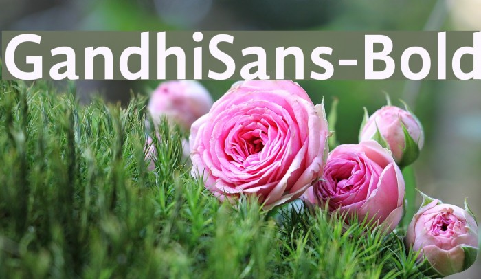 GandhiSans-Bold Font examples