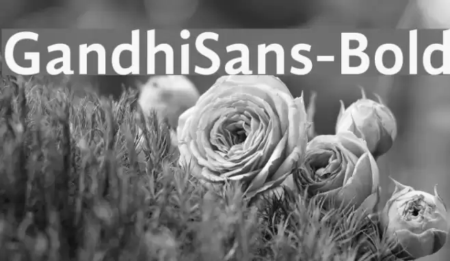 GandhiSans-Bold Font examples