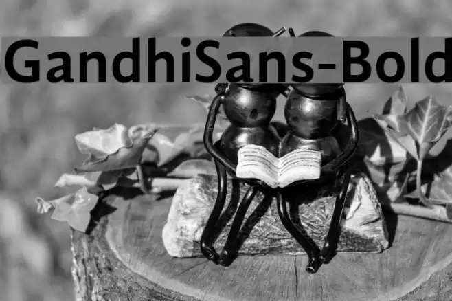 GandhiSans-Bold Font examples