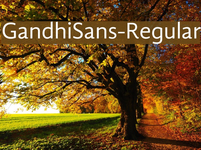 GandhiSans-Regular Font examples