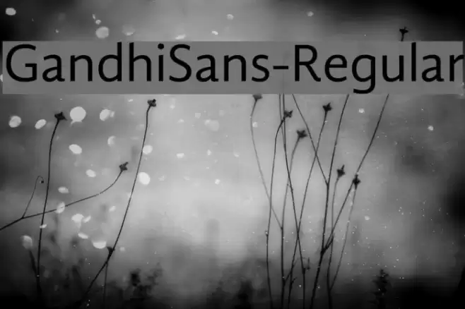 GandhiSans-Regular Font examples