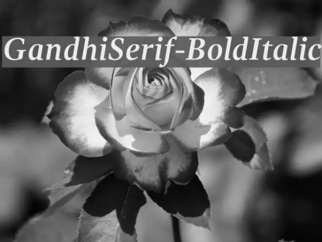 GandhiSerif-BoldItalic Font examples