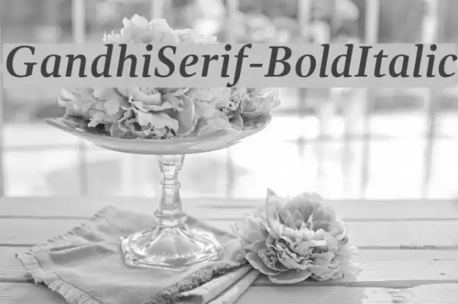 GandhiSerif-BoldItalic Font examples