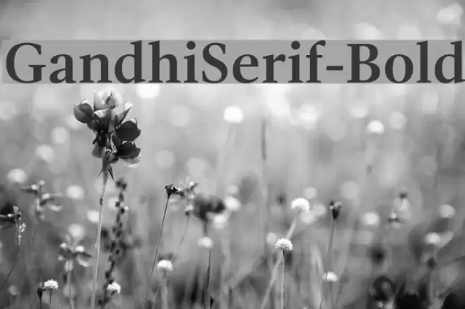 GandhiSerif-Bold Font examples
