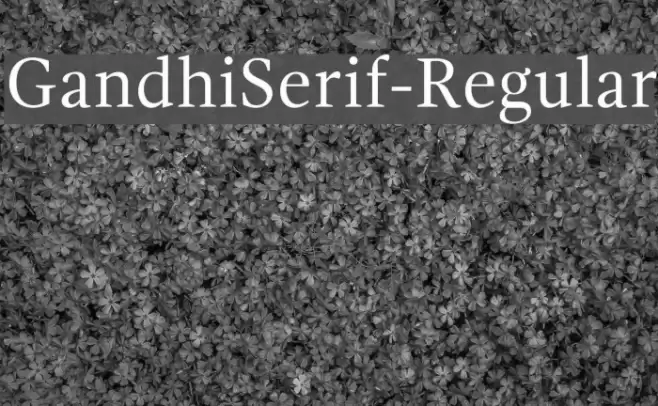 GandhiSerif-Regular Font examples