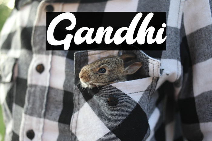 Gandhi Example 2