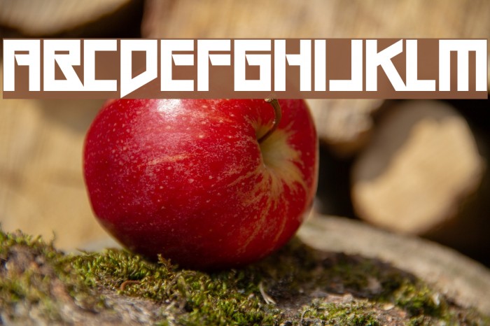 Gang Wolfik OG Font examples