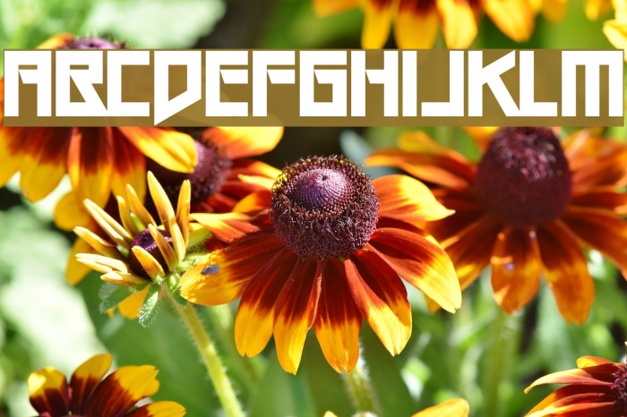 Gang Wolfik OG Font examples