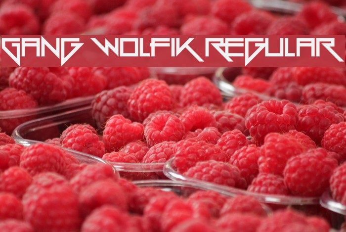 Gang Wolfik Regular Font examples