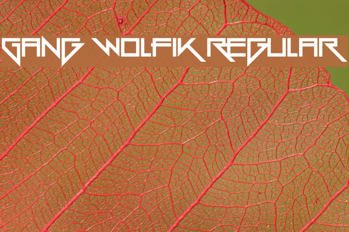 Gang Wolfik Regular Font examples