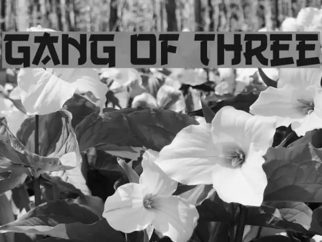 Gang of Three Font examples