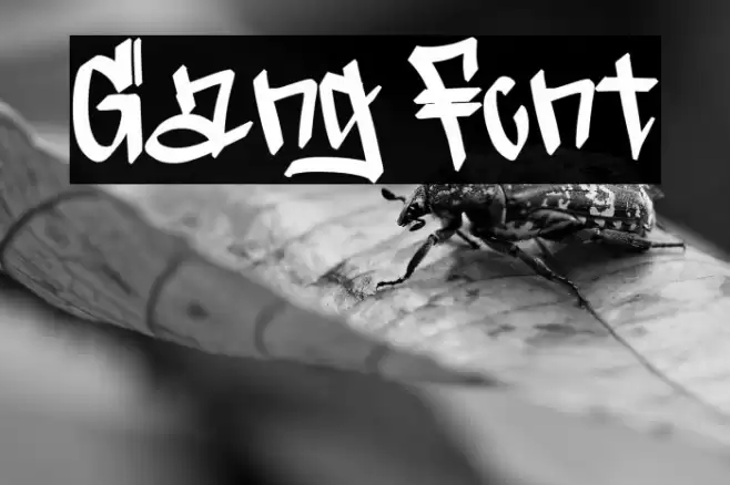 Gang Caratteri examples