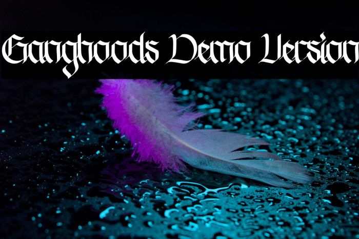 Ganghoods Demo Version Example 1