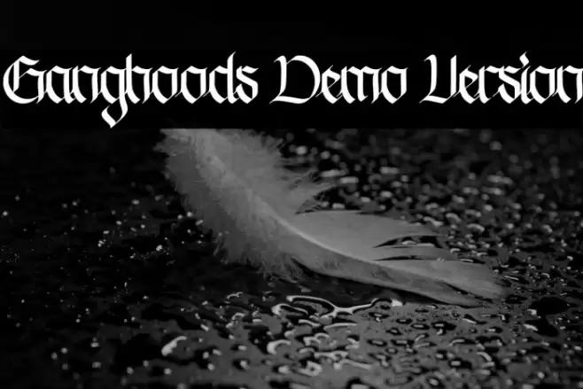 Ganghoods Demo Version Font examples