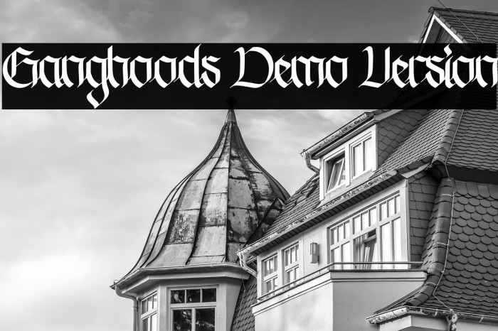 Ganghoods Demo Version Example 3