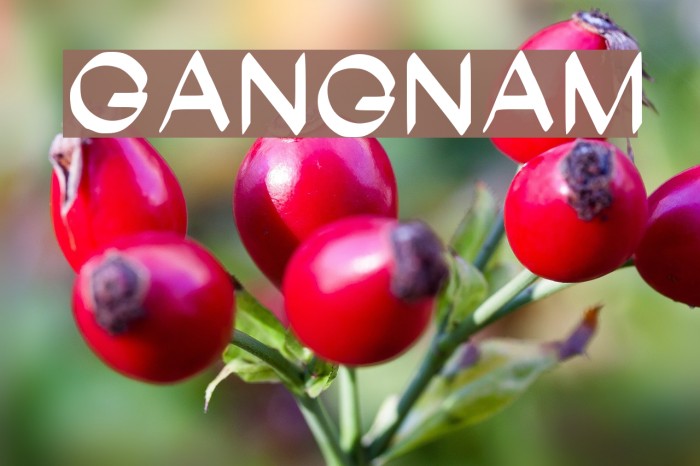 Gangnam Example 1