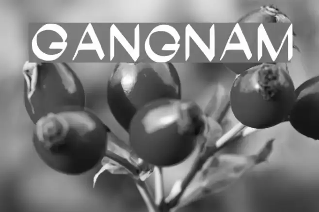 Gangnam Font examples