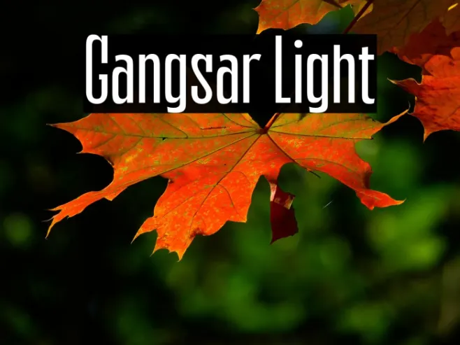 Gangsar Light Example 3