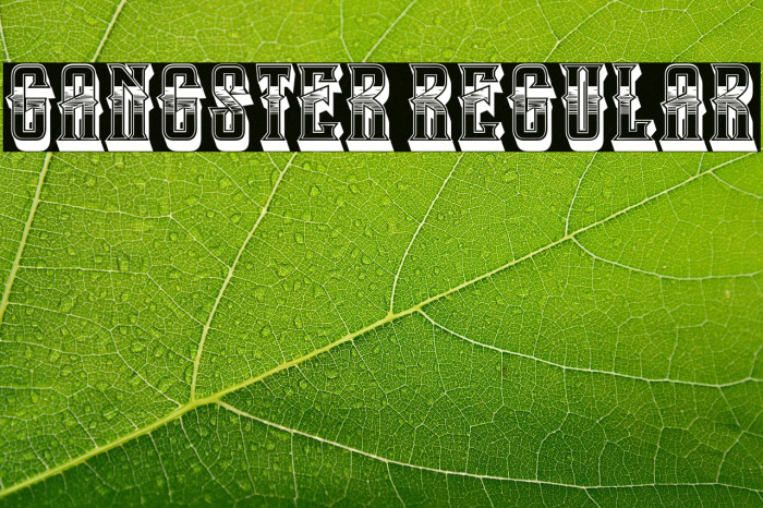 Gangster Regular Example 1