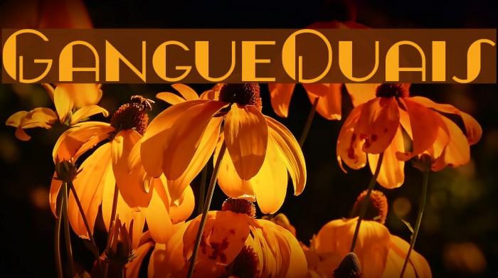 GangueOuais Font examples