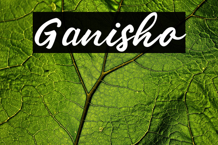 Ganisho Example 1