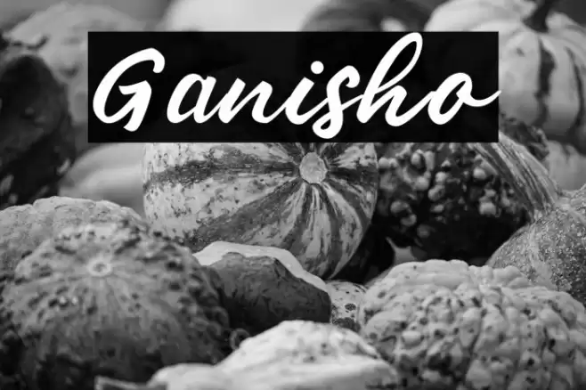 Ganisho Font examples