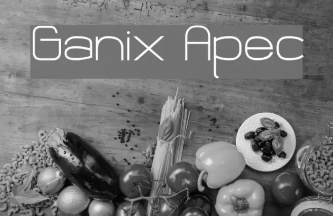 Ganix Apec フォント examples