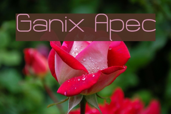Ganix Apec Caratteri examples