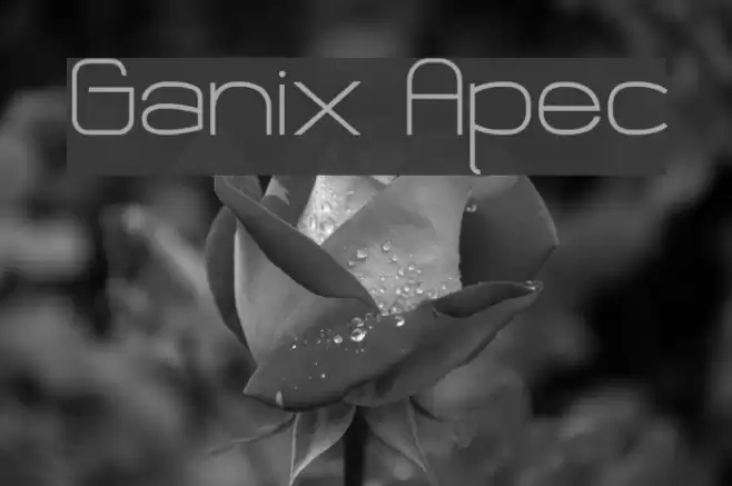 Ganix Apec フォント examples