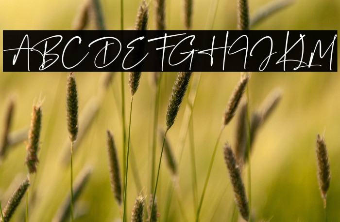 Gantelline Signature Example 2