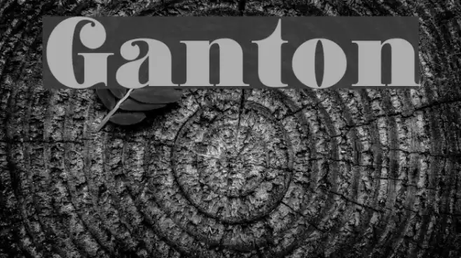Ganton Font examples