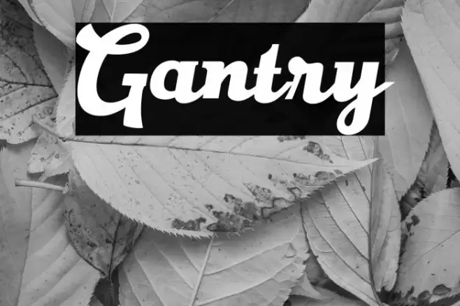 Gantry Font examples