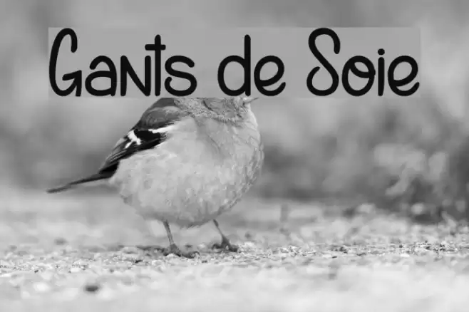 Gants de Soie Font examples