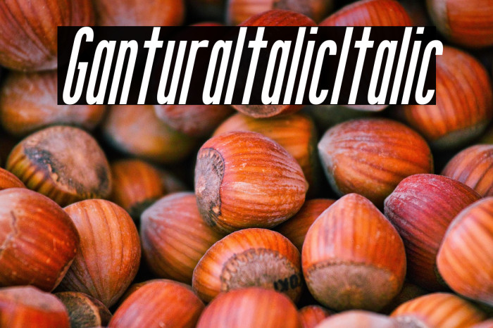 Gantura Italic Italic Example 2