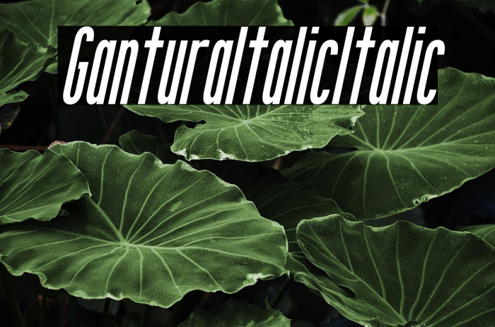Gantura Italic Italic Example 3
