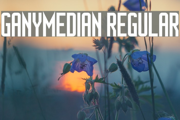 Ganymedian Regular Font examples