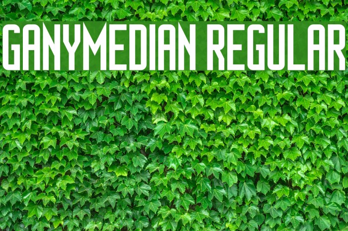 Ganymedian Regular Font examples