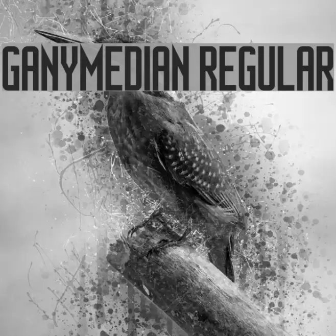 Ganymedian Regular フォント examples