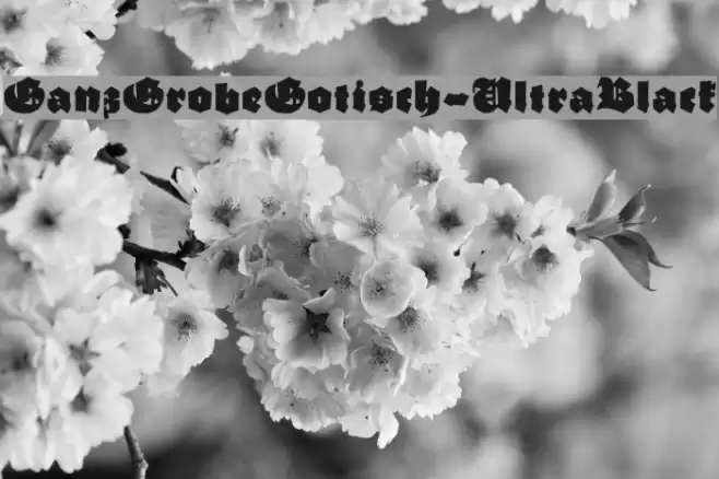 GanzGrobeGotisch-UltraBlack Font examples