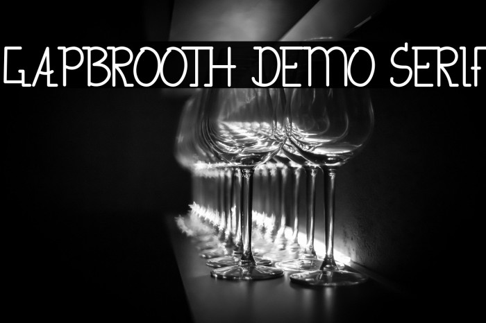 Gapbrooth Demo Serif Example 1