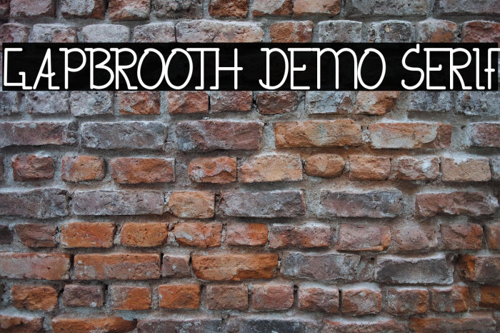 Gapbrooth Demo Serif Example 2