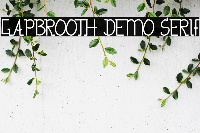 Gapbrooth Demo Serif Example 3