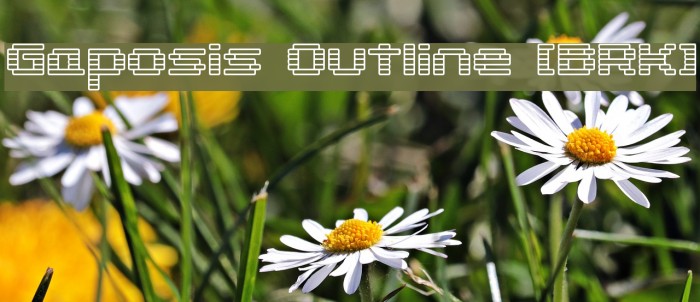 Gaposis Outline [BRK] Example 2