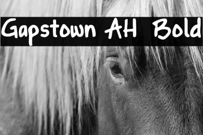 Gapstown AH Bold Font examples